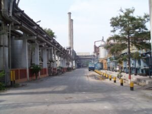 Century Pulp & Paper